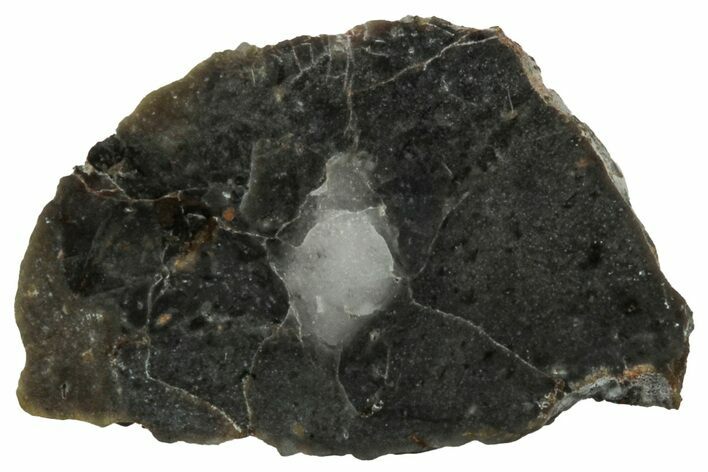 NWA Lunar Meteorite ( g) Slice #307585